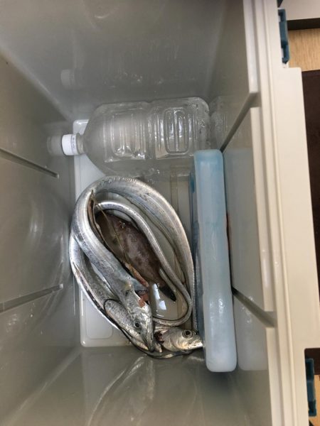 不幸からの釣果