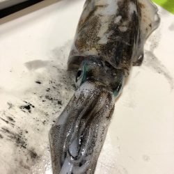 兵庫西→兵庫東にてんてんと、、、