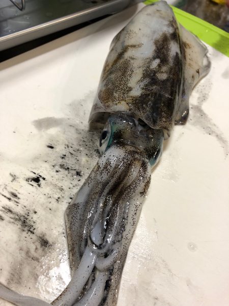 兵庫西→兵庫東にてんてんと、、、