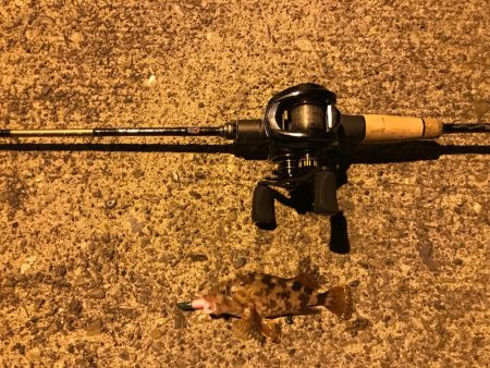 ワークマンイージス