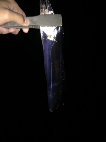 タチウオ爆釣!キモはレンジ。