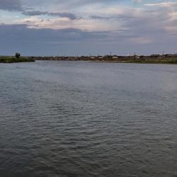 リバーシーバス