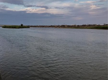 リバーシーバス