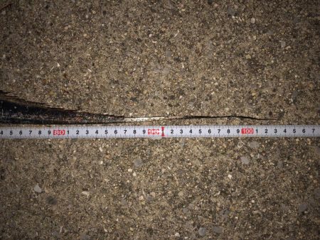 今シーズン初ドラゴン(^｡^)