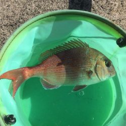 ああ、遅刻です。、