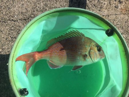 ああ、遅刻です。、