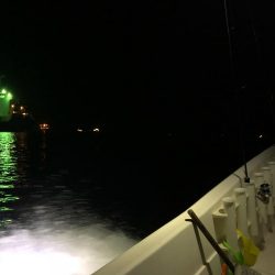 ボートアジング