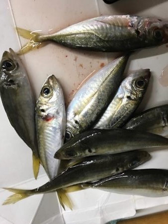 寒いながらも…