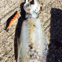 何とか絞り出した一杯