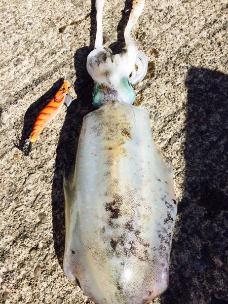 何とか絞り出した一杯