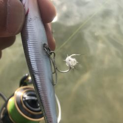 朝明川河口デイゲーム