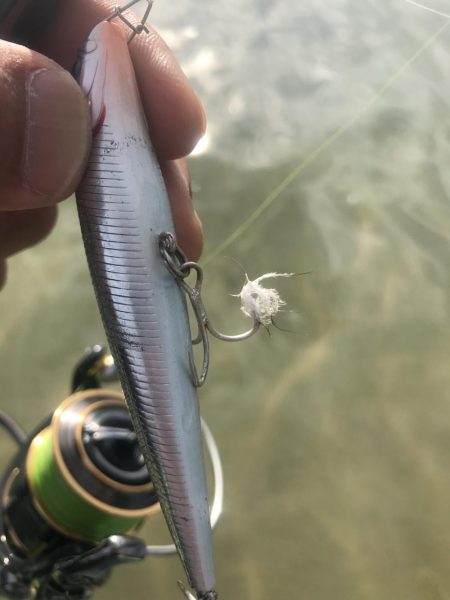 朝明川河口デイゲーム