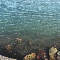 極寒雨の中のライトゲーム