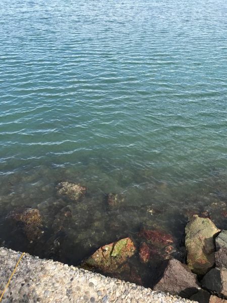 極寒雨の中のライトゲーム