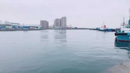 ナブラボーズに外撃ちサゴシ♫