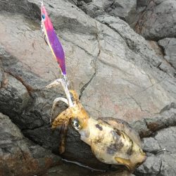 天気予報通りにはいきません(T . T)