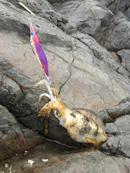 天気予報通りにはいきません(T . T)