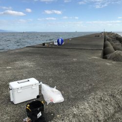 津田沖一文字でヒラメとマアジ釣れました。