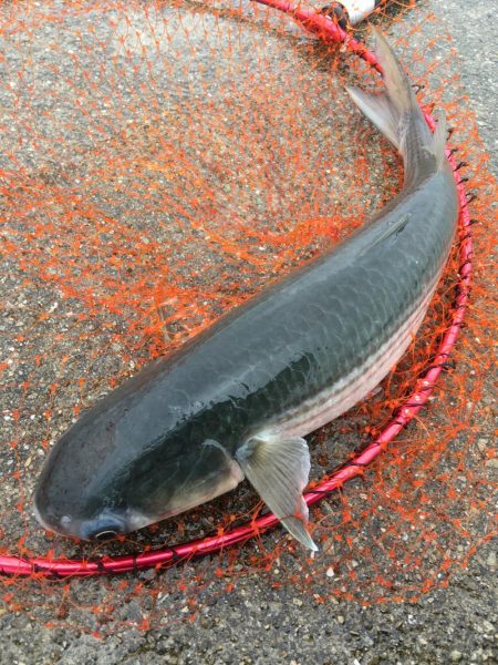 ショアジギング&釣り場の掃除