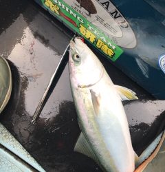 明石ジギング船