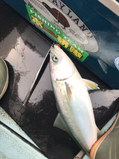 明石ジギング船