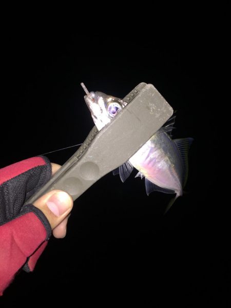 底ベタアジング！