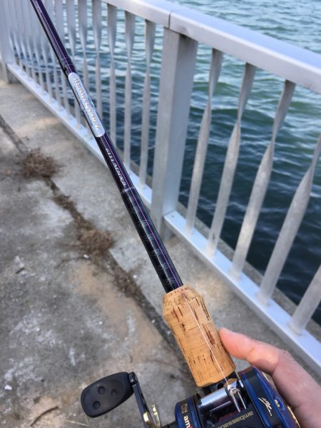 お散歩イイダコ釣り