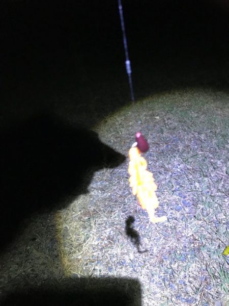 ビフテキ初チャレンジ^_^