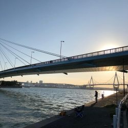 釣れてよかった