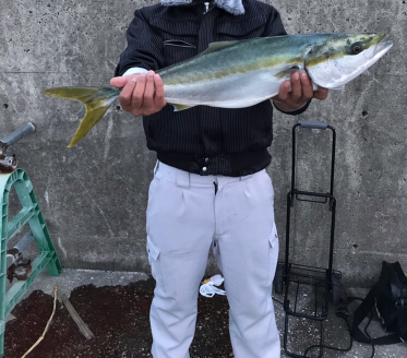 やった〜‼️･:*+.\(( °ω° ))/.:+‼️