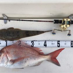 タチウオジギング  鯛ラバ