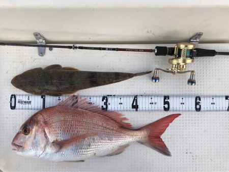 タチウオジギング  鯛ラバ