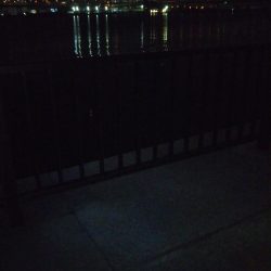 キビレ、セイゴ、太刀魚3種目