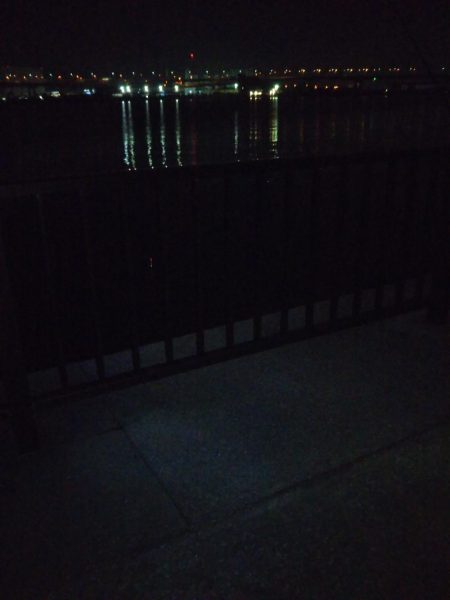 キビレ、セイゴ、太刀魚3種目