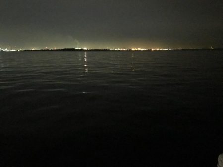 激しぶタチウオ