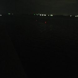 潮は悪いが何とか釣れました。