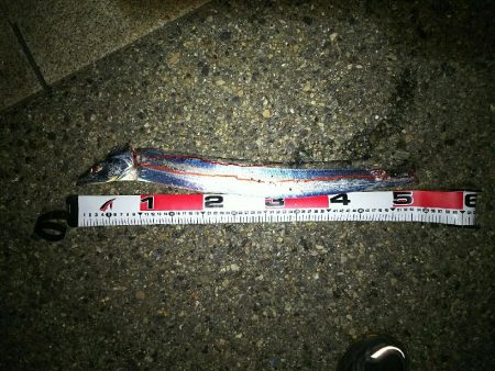 相変わらず渋い