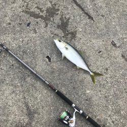 ショアジギング