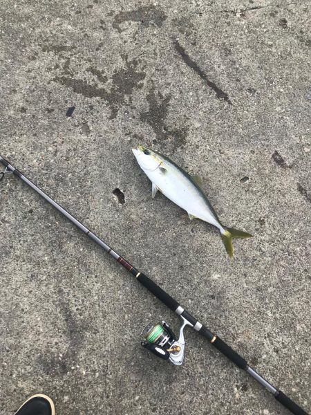 ショアジギング