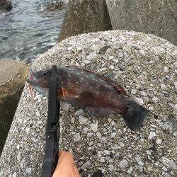 久しぶりのデイゲーム