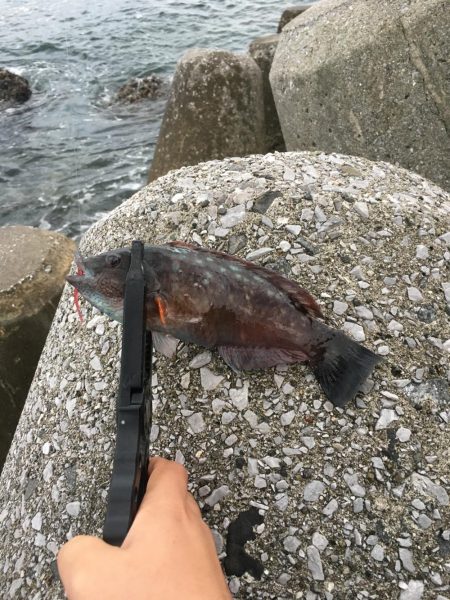 久しぶりのデイゲーム