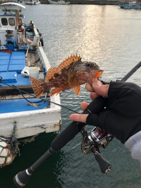 タックルボックス探してます