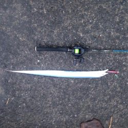 強風の中、太刀魚ジギング