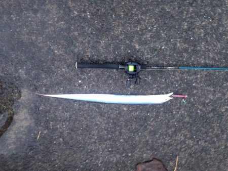 強風の中、太刀魚ジギング