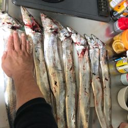 おもろかった～