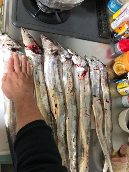 おもろかった～