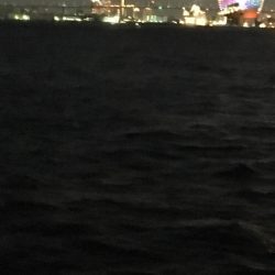 コスモで昼タチ