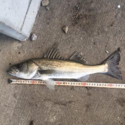 橋の下サイコー