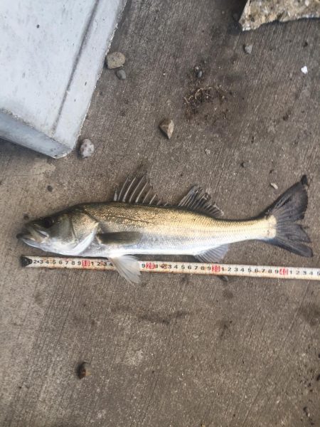 橋の下サイコー