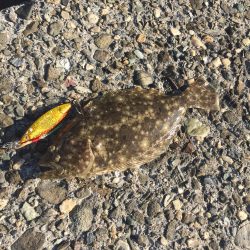 強風の中でジギング